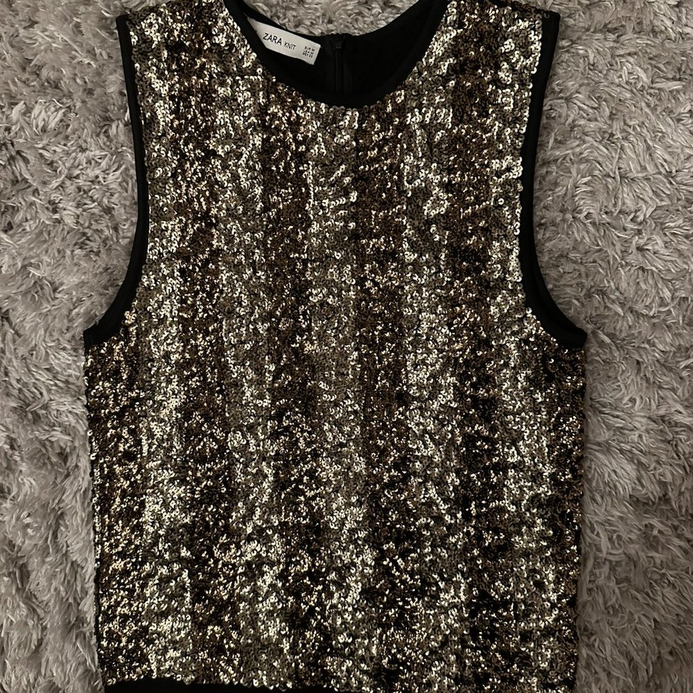 ZARA The Knitwear Collection Sequin Top